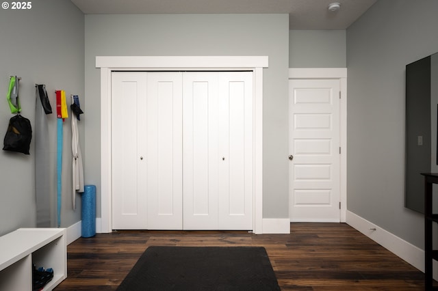 interior space featuring dark wood-type flooring and a closet