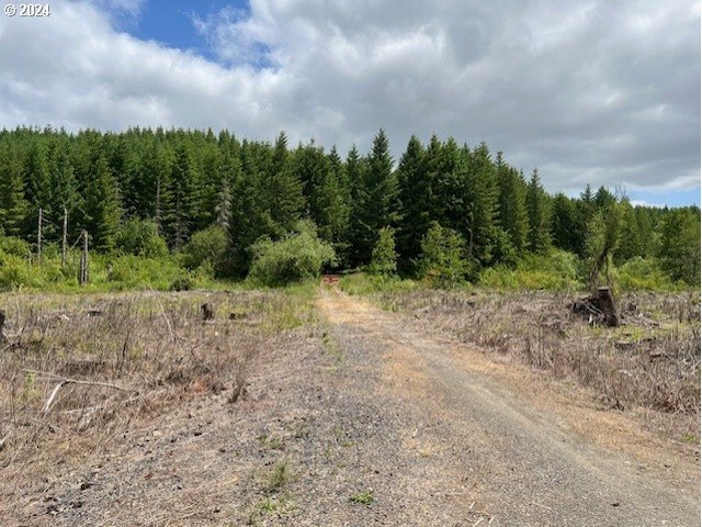 Airport Rd, Vernonia OR, 97064 land for sale