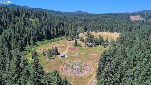 birds eye view of property featuring a mountain view and a forest view