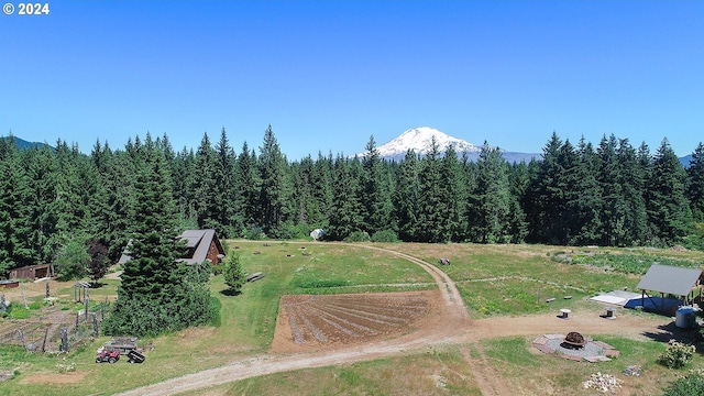 bird's eye view with a mountain view