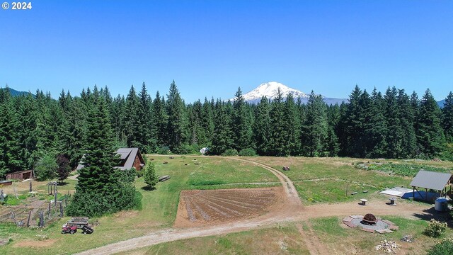 bird's eye view featuring a mountain view