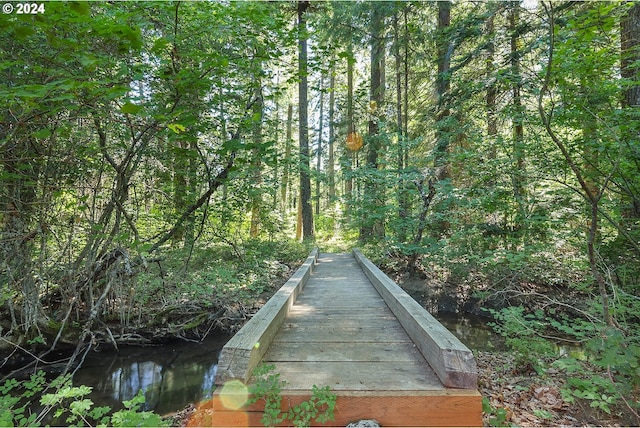 view of property's community featuring a water view