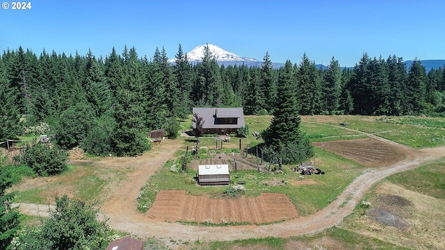 bird's eye view with a rural view and a wooded view