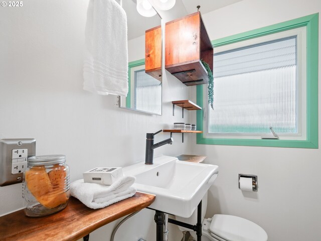 bathroom with toilet and sink