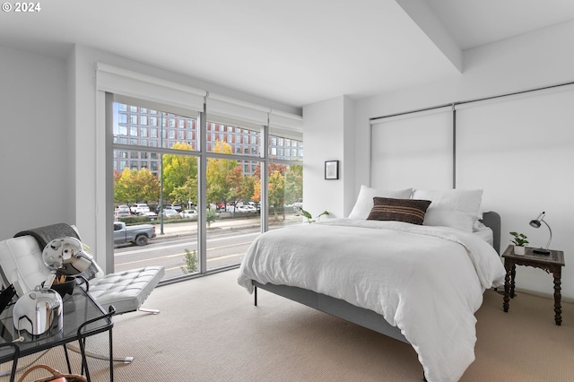 carpeted bedroom featuring access to exterior and multiple windows