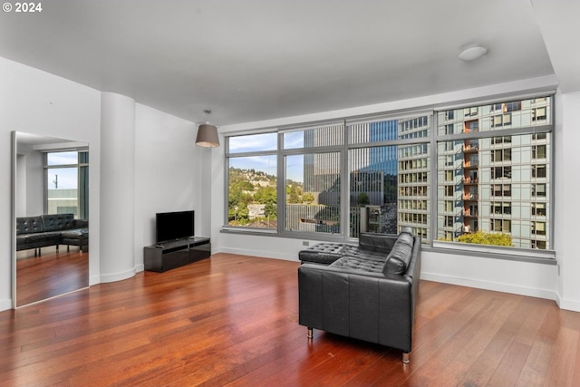 living area featuring wood finished floors and baseboards