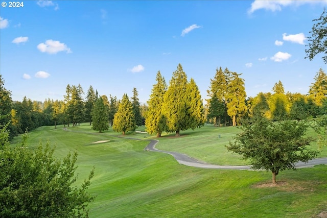 view of home's community featuring a lawn