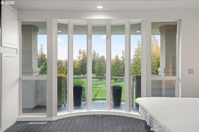 doorway featuring carpet and a wealth of natural light