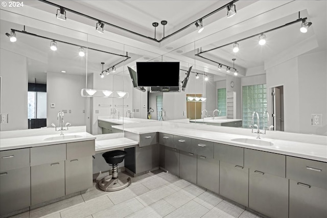 bathroom with rail lighting and vanity