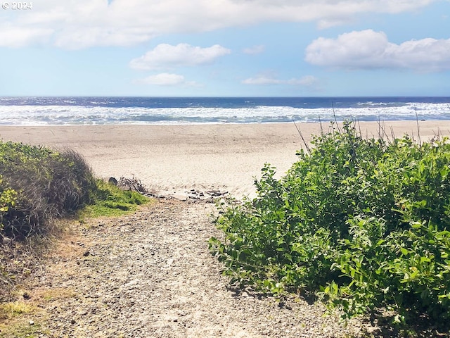 water view featuring a view of the beach