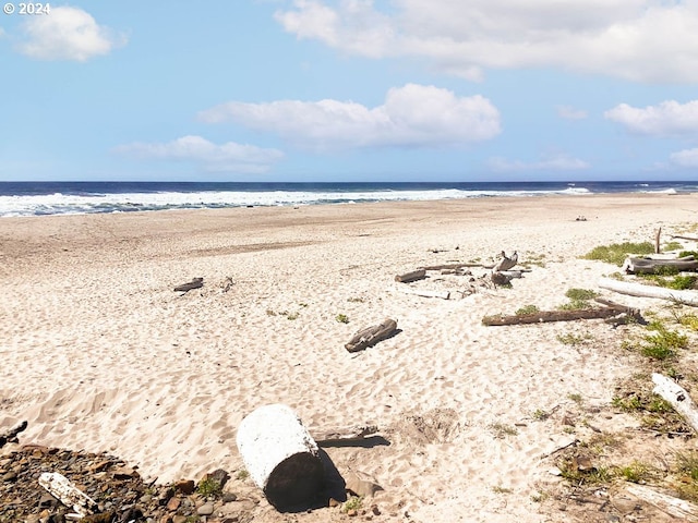 property view of water featuring a view of the beach