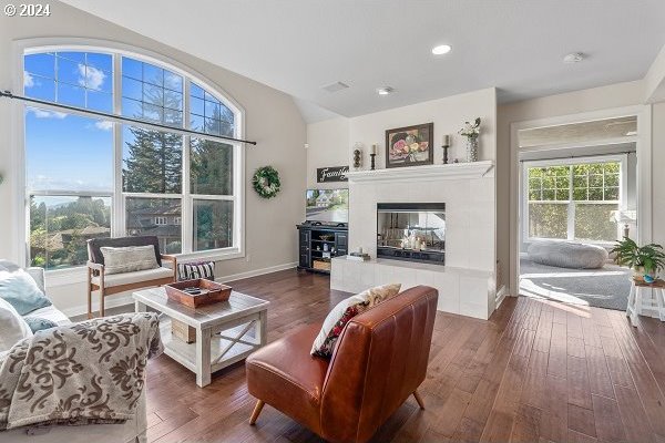 living room featuring dark wood-type flooring, a healthy amount of sunlight, and a fireplace