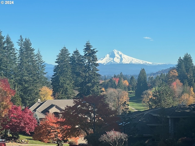 property view of mountains