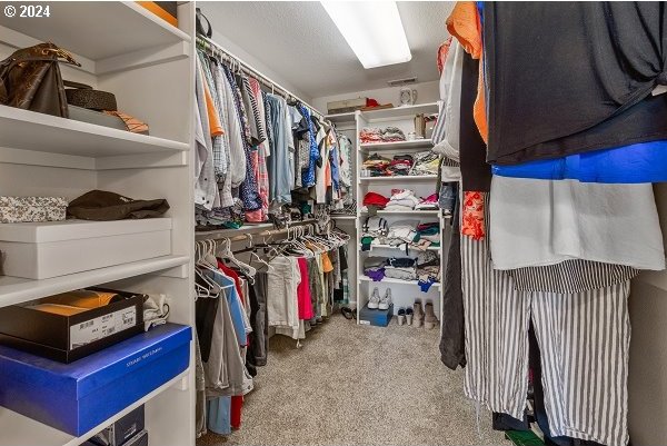 spacious closet with carpet floors