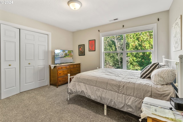 bedroom with a closet and carpet floors