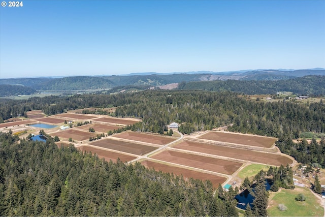 bird's eye view featuring a mountain view