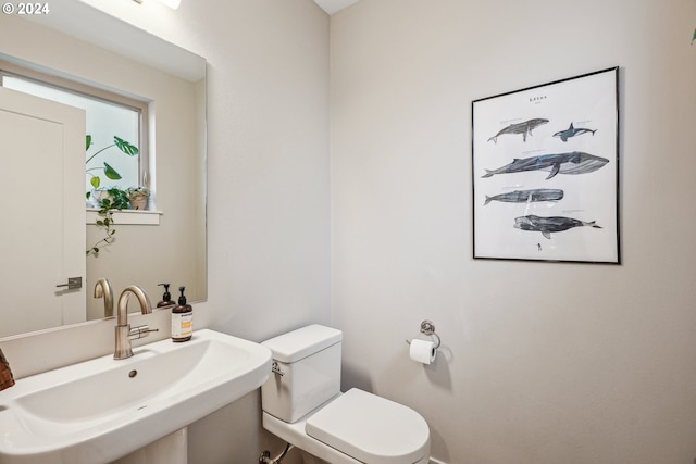 bathroom with sink and toilet