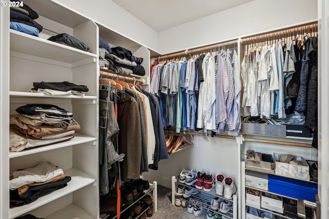 spacious closet with carpet floors