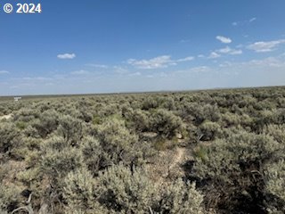 Lost Forest Ln Unit Tl-4700, Christmas Valley OR, 97641 land for sale