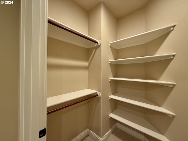 view of walk in closet