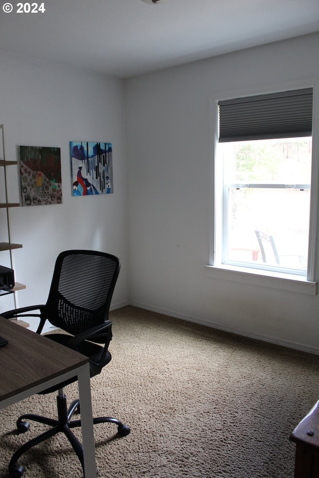 view of carpeted home office