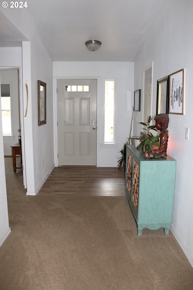 foyer with dark hardwood / wood-style flooring