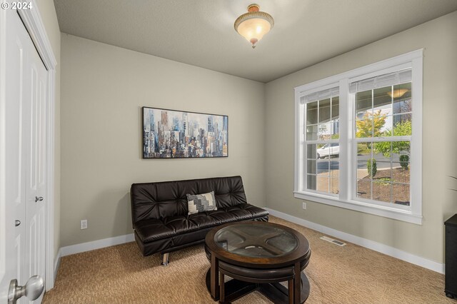 sitting room with light colored carpet