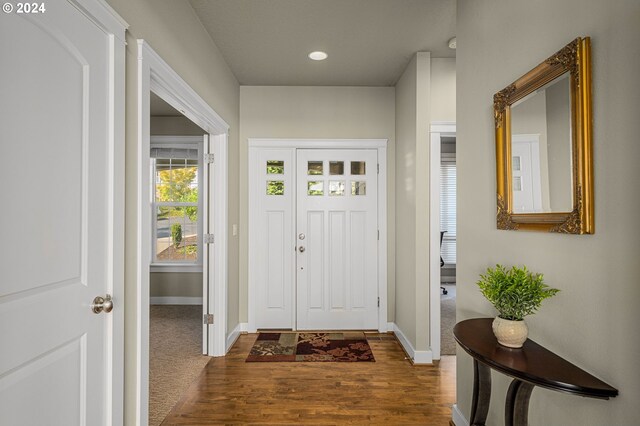 foyer entrance with wood-type flooring