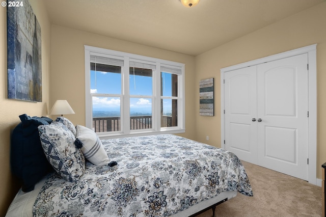 bedroom with a closet and carpet floors