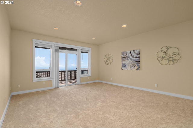 unfurnished room with light carpet and a textured ceiling