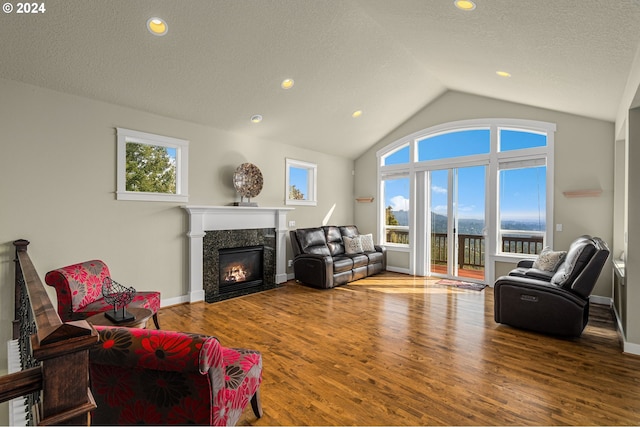 living room featuring vaulted ceiling, a textured ceiling, wood-type flooring, and a healthy amount of sunlight