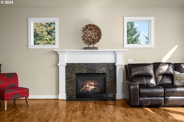 sitting room with hardwood / wood-style flooring, a premium fireplace, and a healthy amount of sunlight