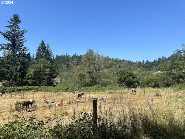 view of landscape featuring a rural view