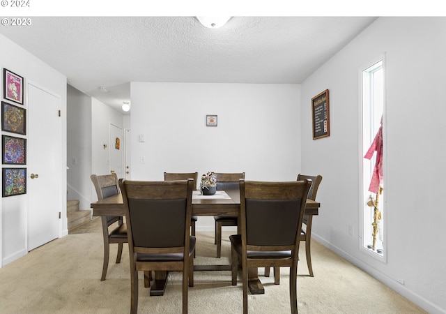 carpeted dining space with a textured ceiling and a wealth of natural light