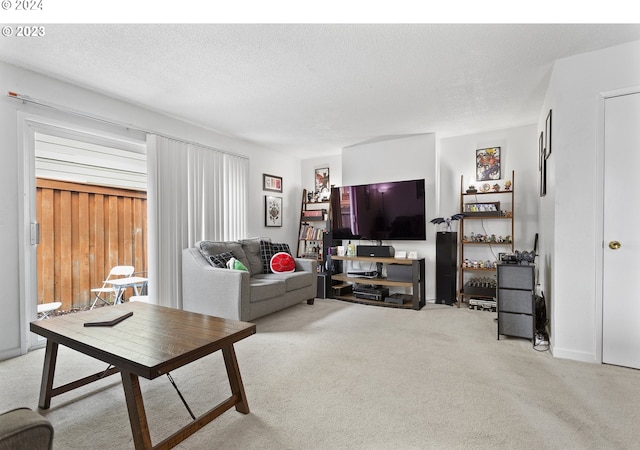 living room featuring a textured ceiling and light carpet