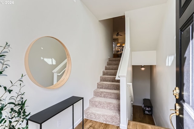 stairs with hardwood / wood-style flooring