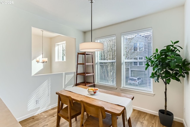 dining room featuring light hardwood / wood-style flooring and a healthy amount of sunlight