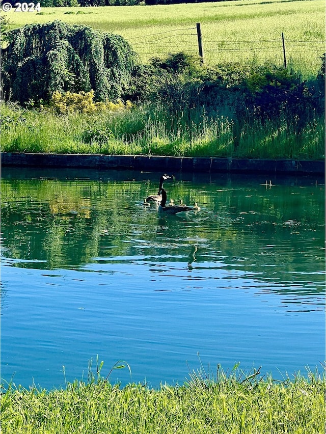 view of water feature