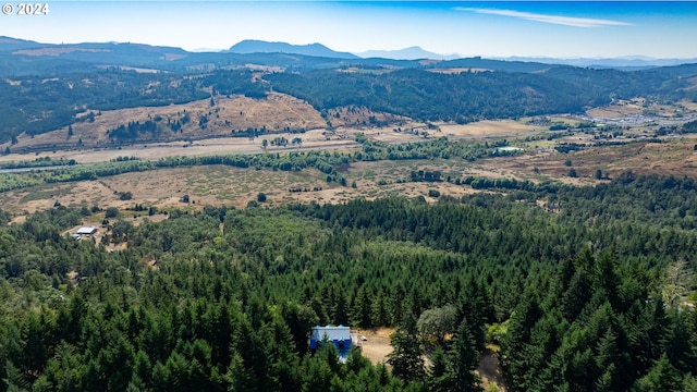 bird's eye view featuring a mountain view