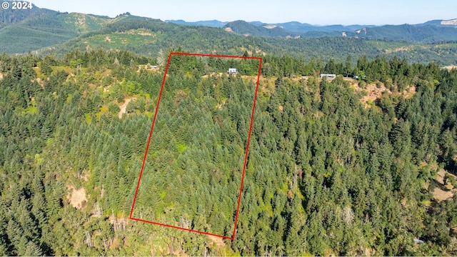 birds eye view of property featuring a mountain view and a view of trees