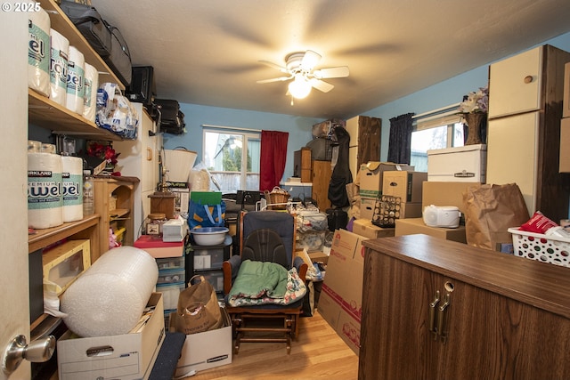 storage with ceiling fan