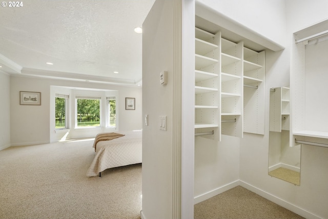 walk in closet with a raised ceiling and carpet flooring