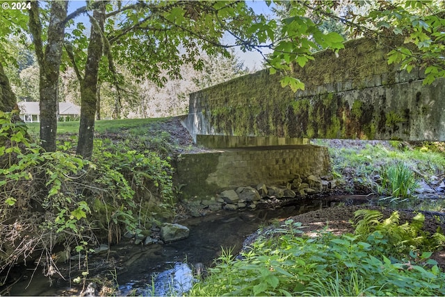 view of local wilderness