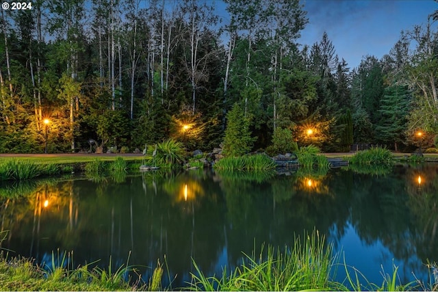 view of water feature