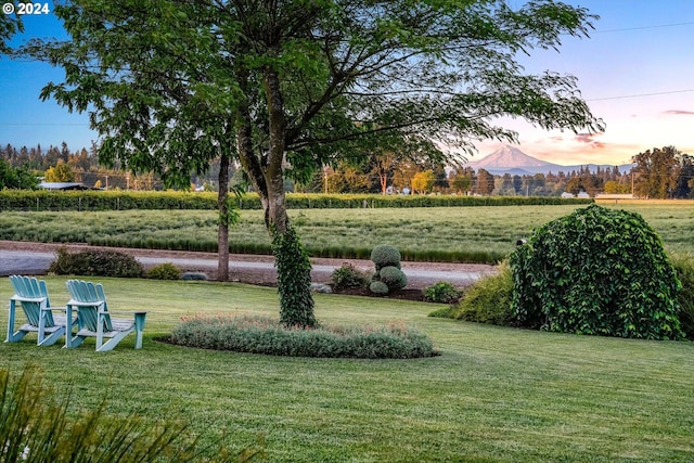 view of community with a lawn