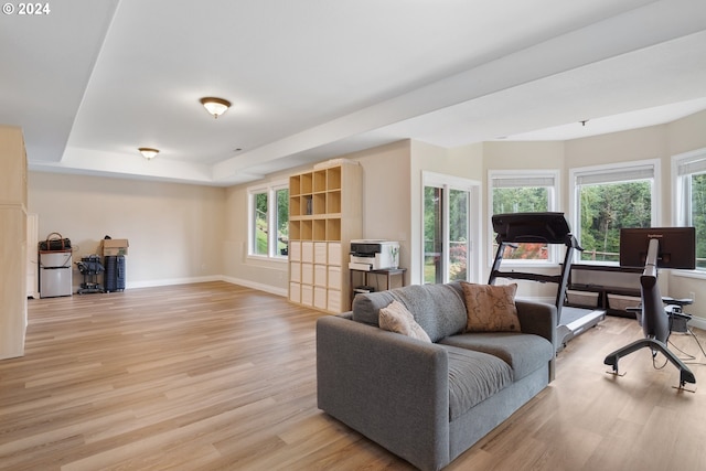 living room with light hardwood / wood-style floors and a raised ceiling