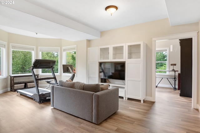 living room featuring light hardwood / wood-style flooring