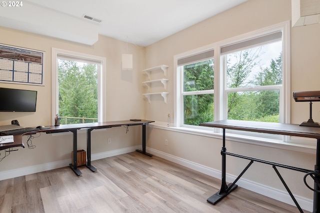 office space with a healthy amount of sunlight and light hardwood / wood-style flooring