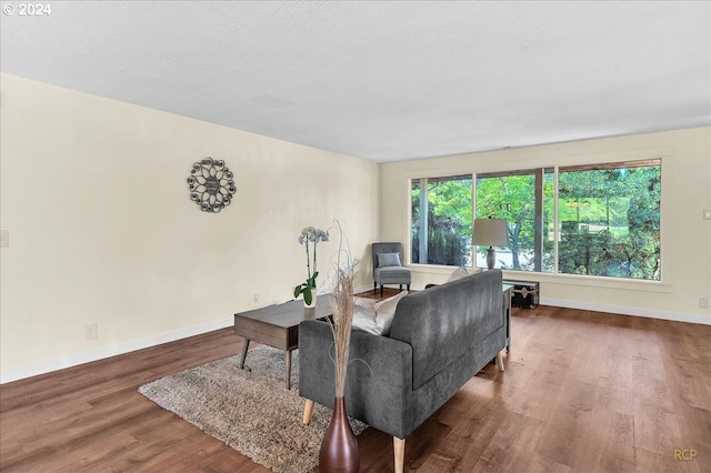 living room with wood-type flooring and a textured ceiling