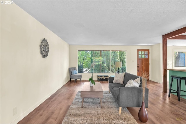 living room with a textured ceiling and wood-type flooring